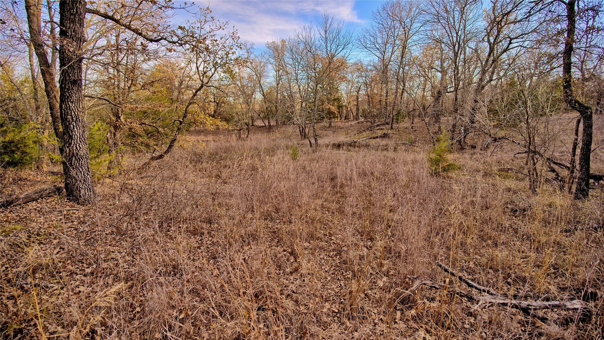5 acres in Montague County - photo 16