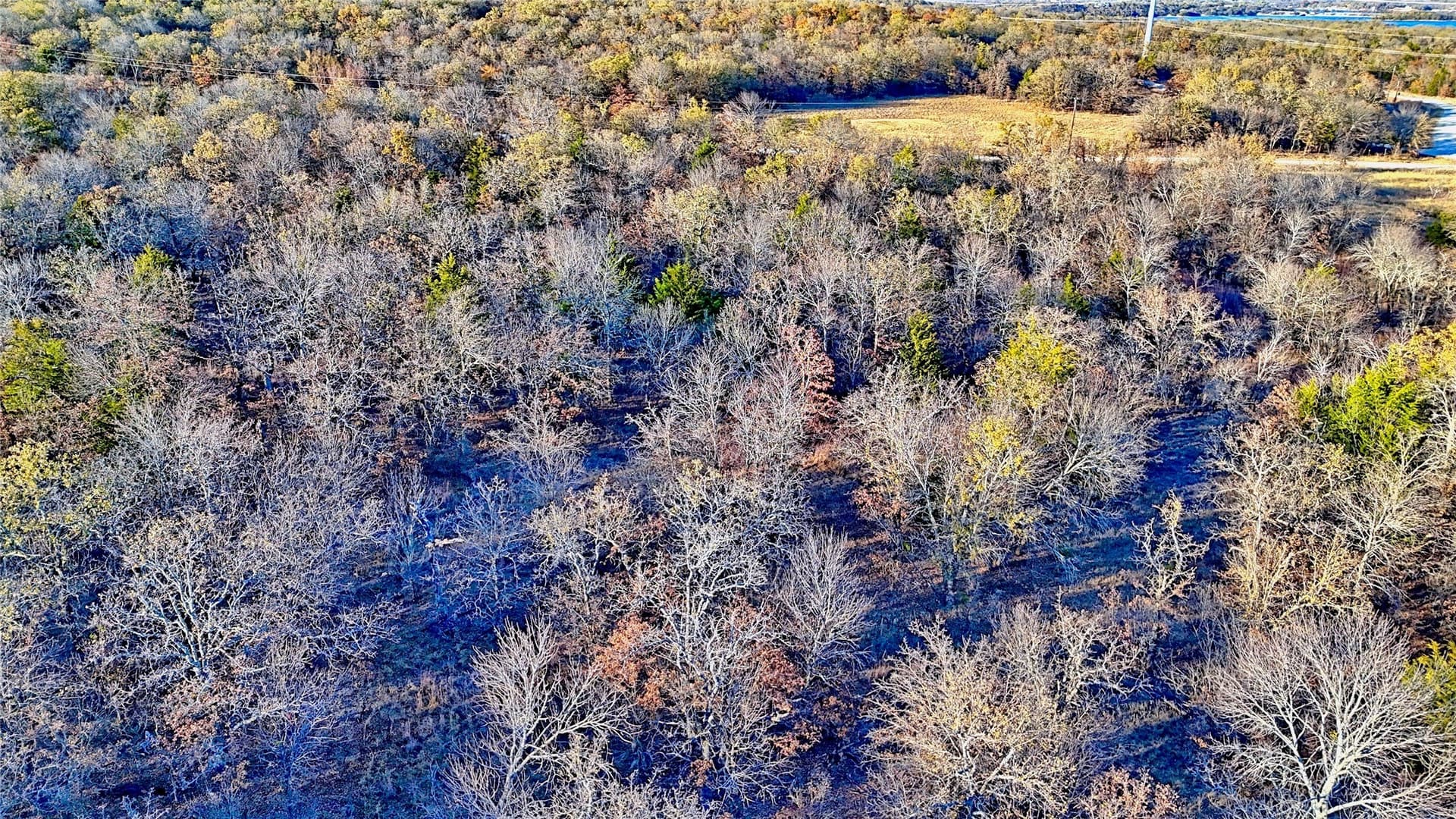 5 acres in Montague County - photo 14