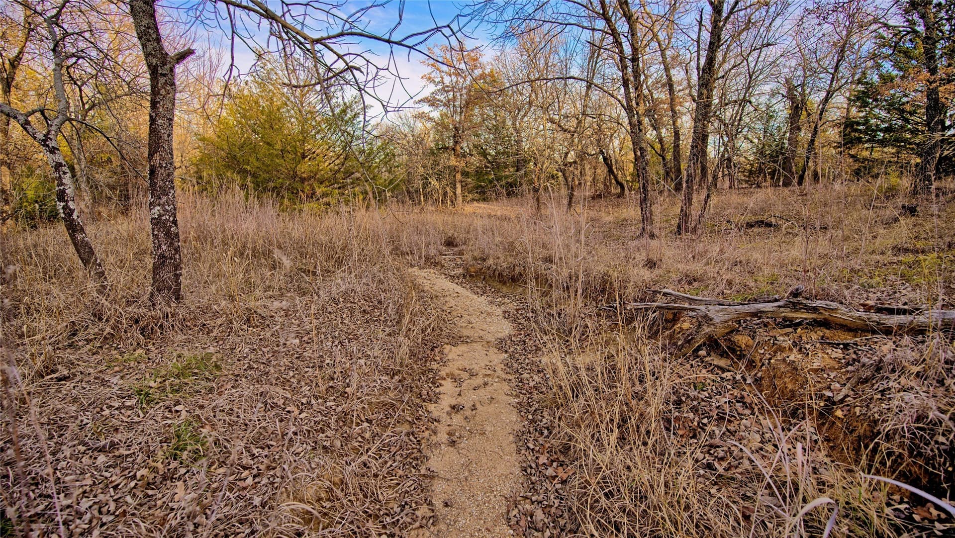 5 acres in Montague County - photo 8