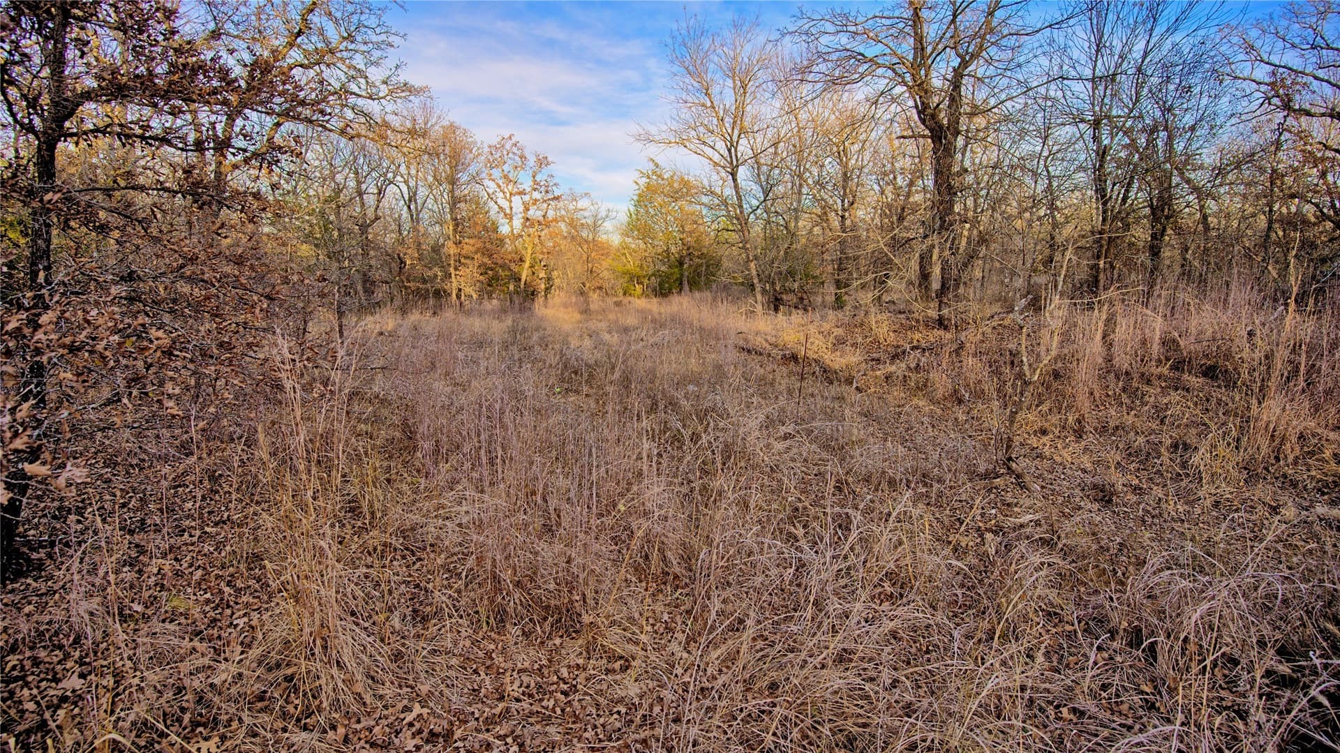 5 acres in Montague County - photo 15