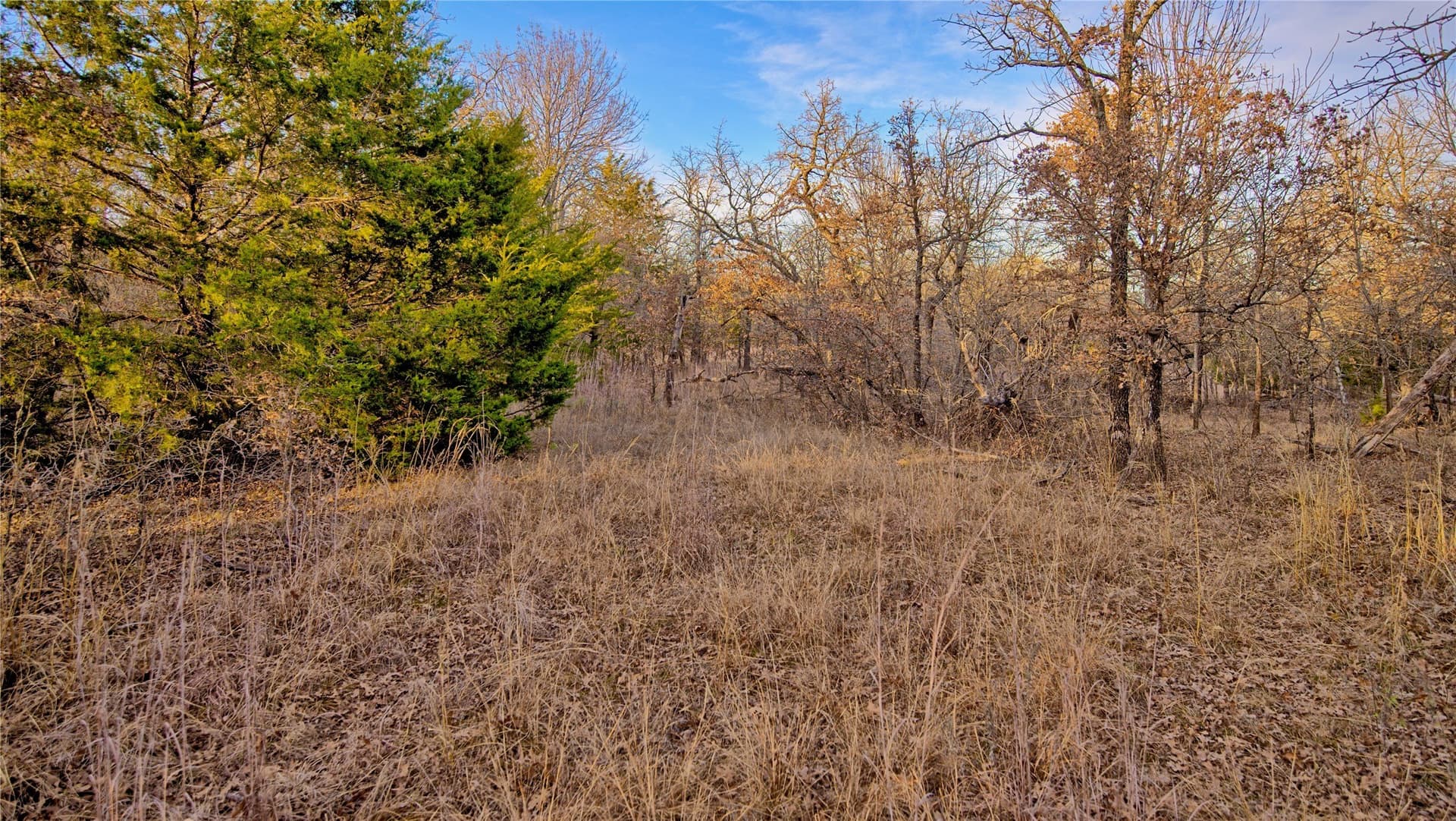 5 acres in Montague County - photo 5