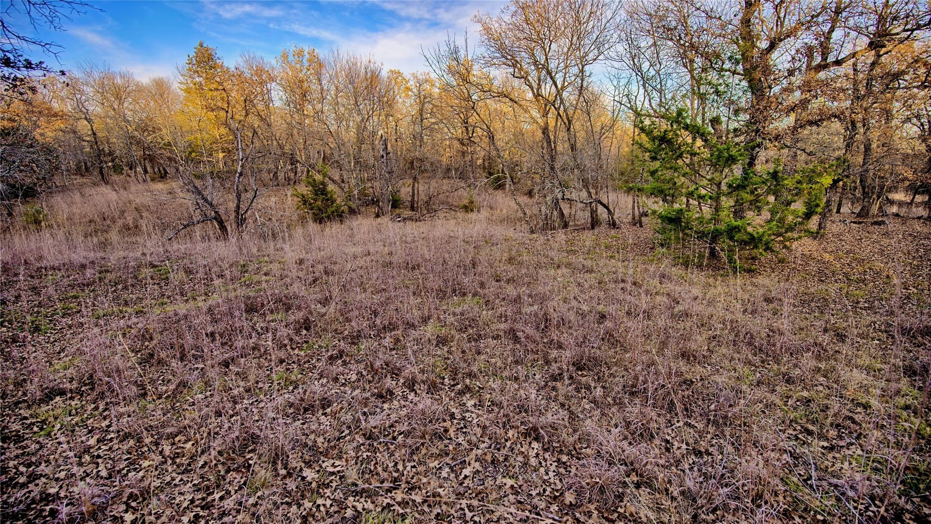 5 acres in Montague County - photo 11