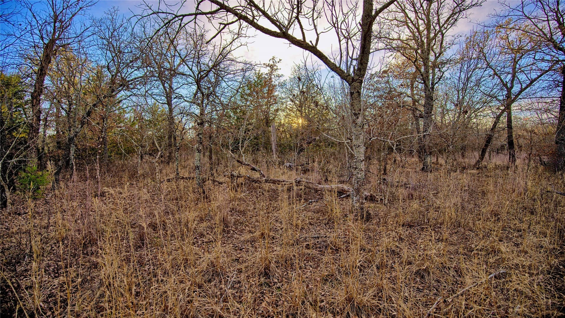 5 acres in Montague County - photo 12