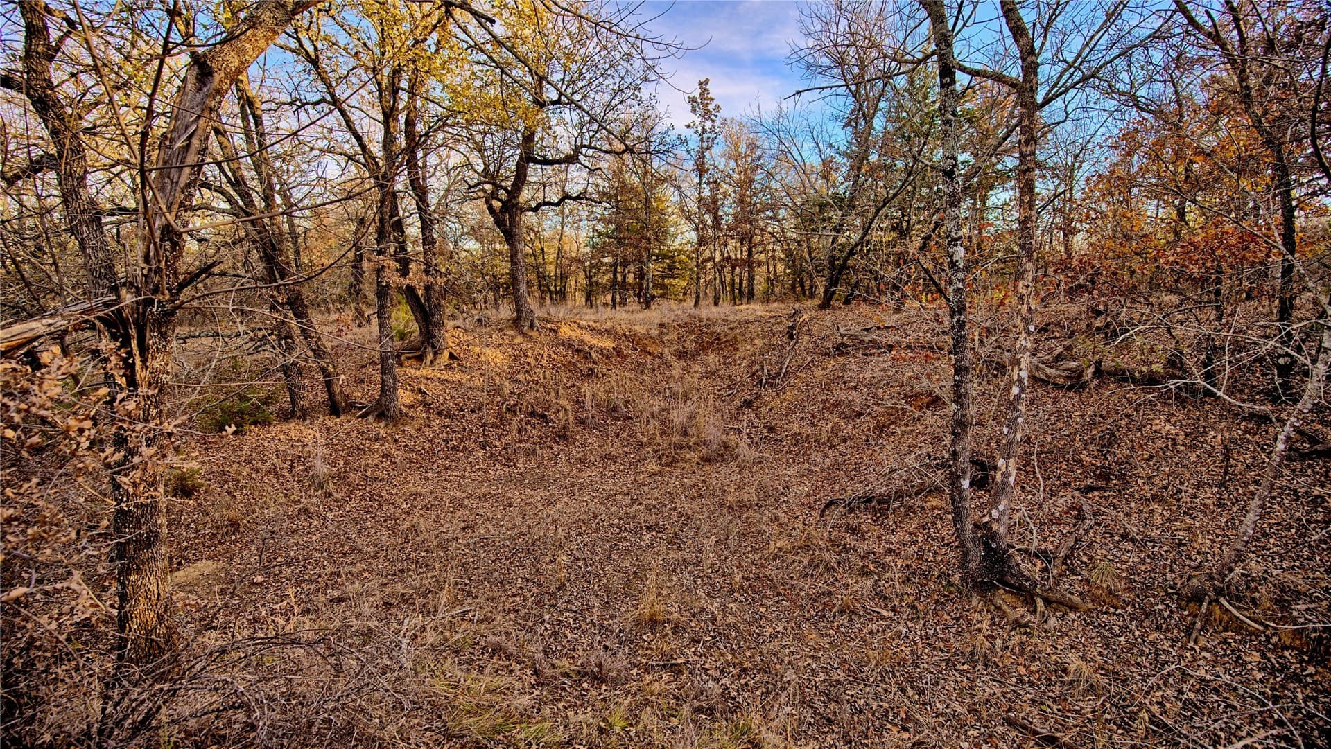 5 acres in Montague County - photo 2