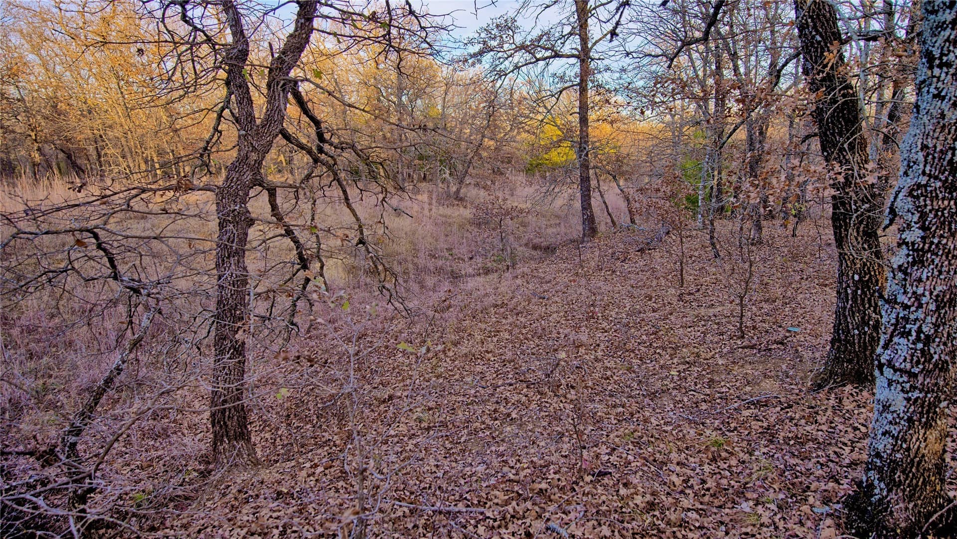 5 acres in Montague County - photo 9
