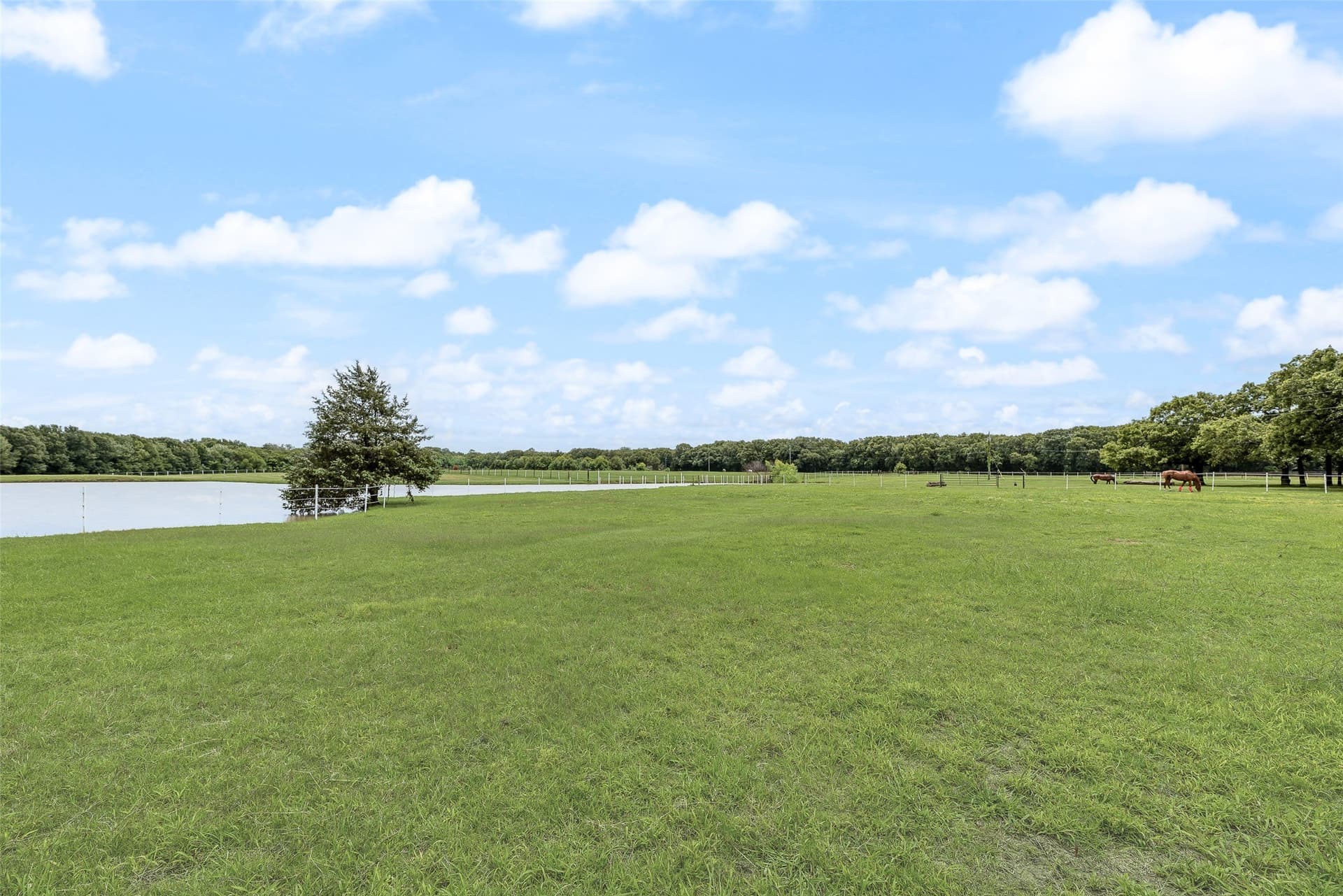 78 acres in Hunt County - photo 31