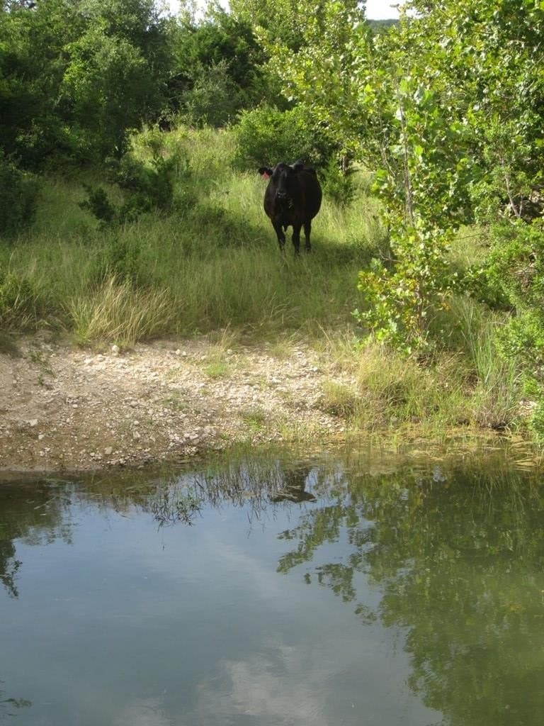 377.58 acres in Medina County featured view