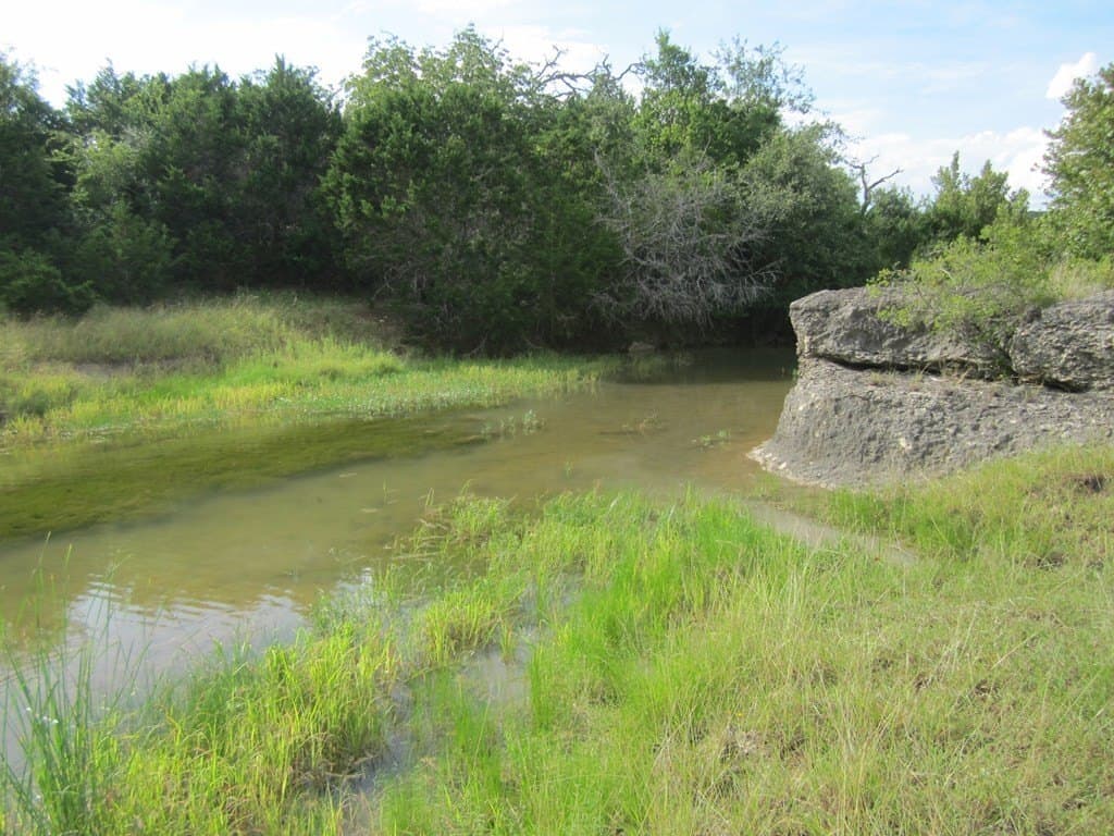 377.58 acres in Medina County gallery image 4