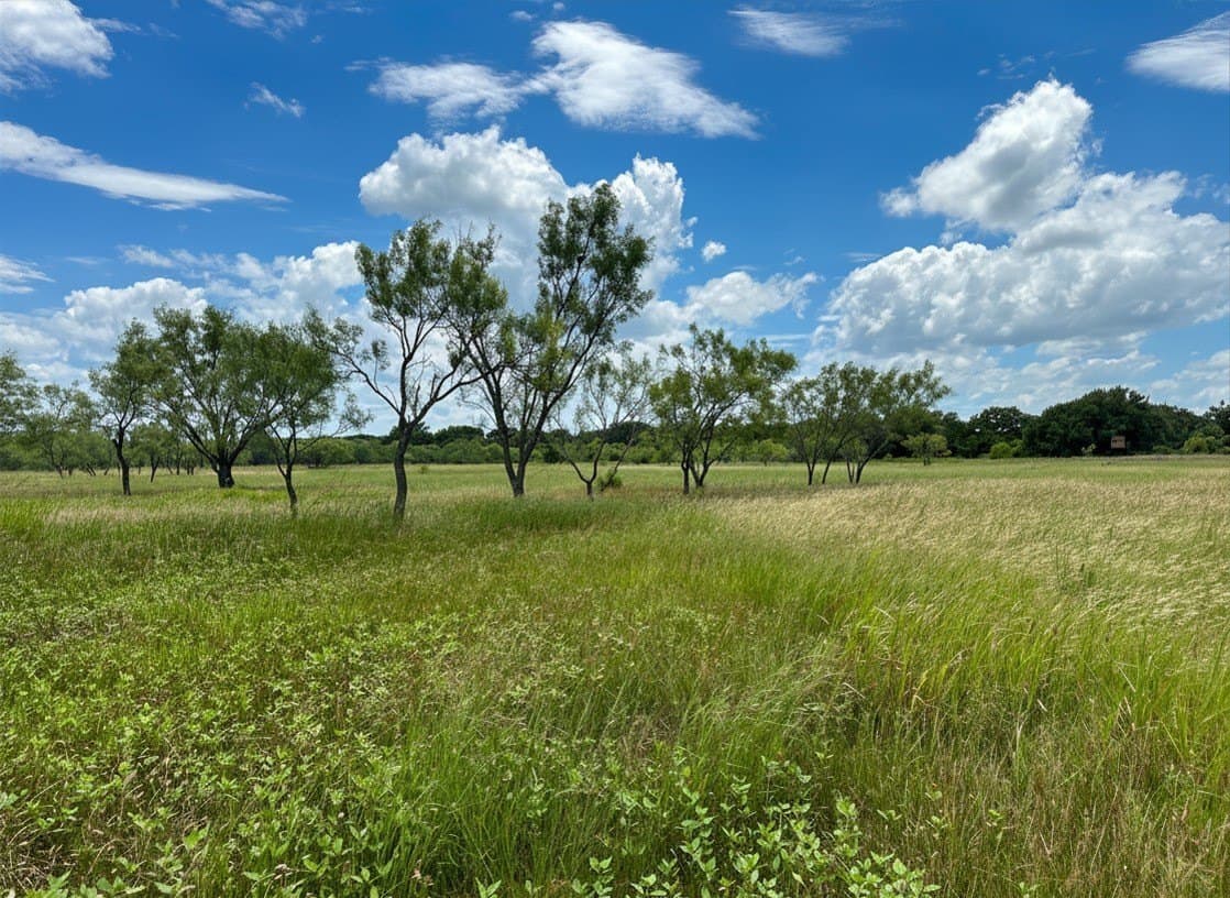 10.01 acres in Brown County gallery image 4