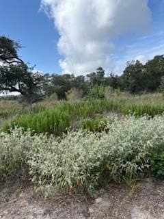 0.59 acres in Texas County