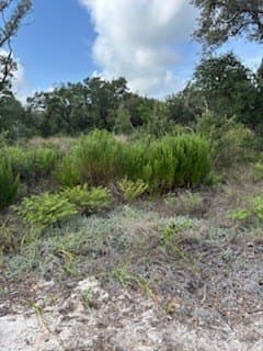 0.59 acres in Texas County gallery image 2