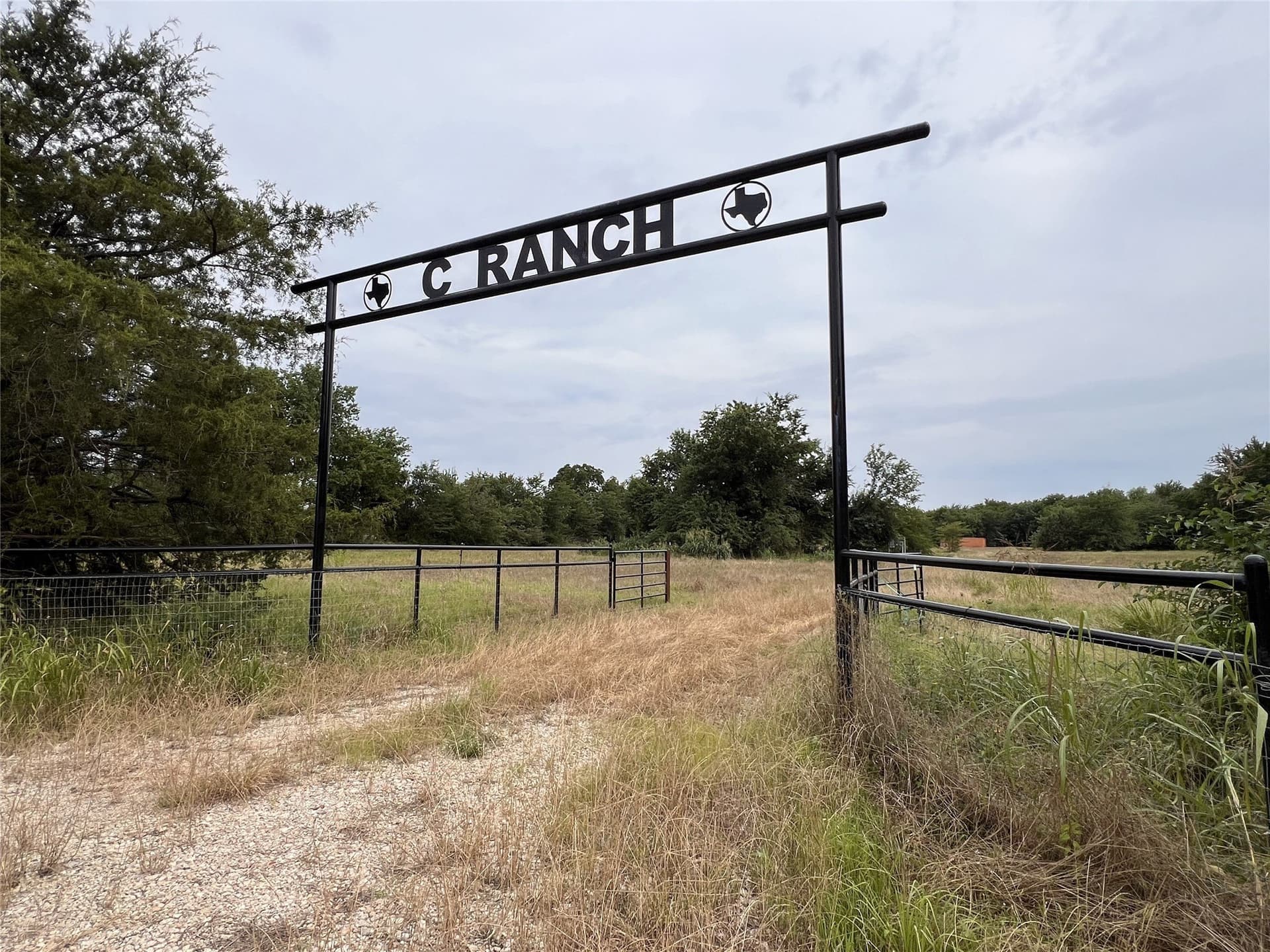 36.5 acres in Hopkins County gallery image 2