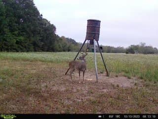 36.5 acres in Hopkins County gallery image 3