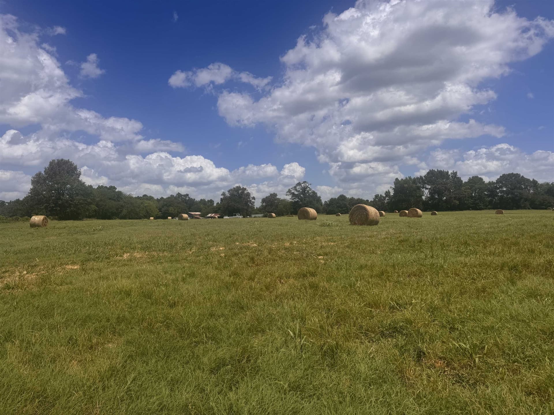 2.5 acres in Camp County