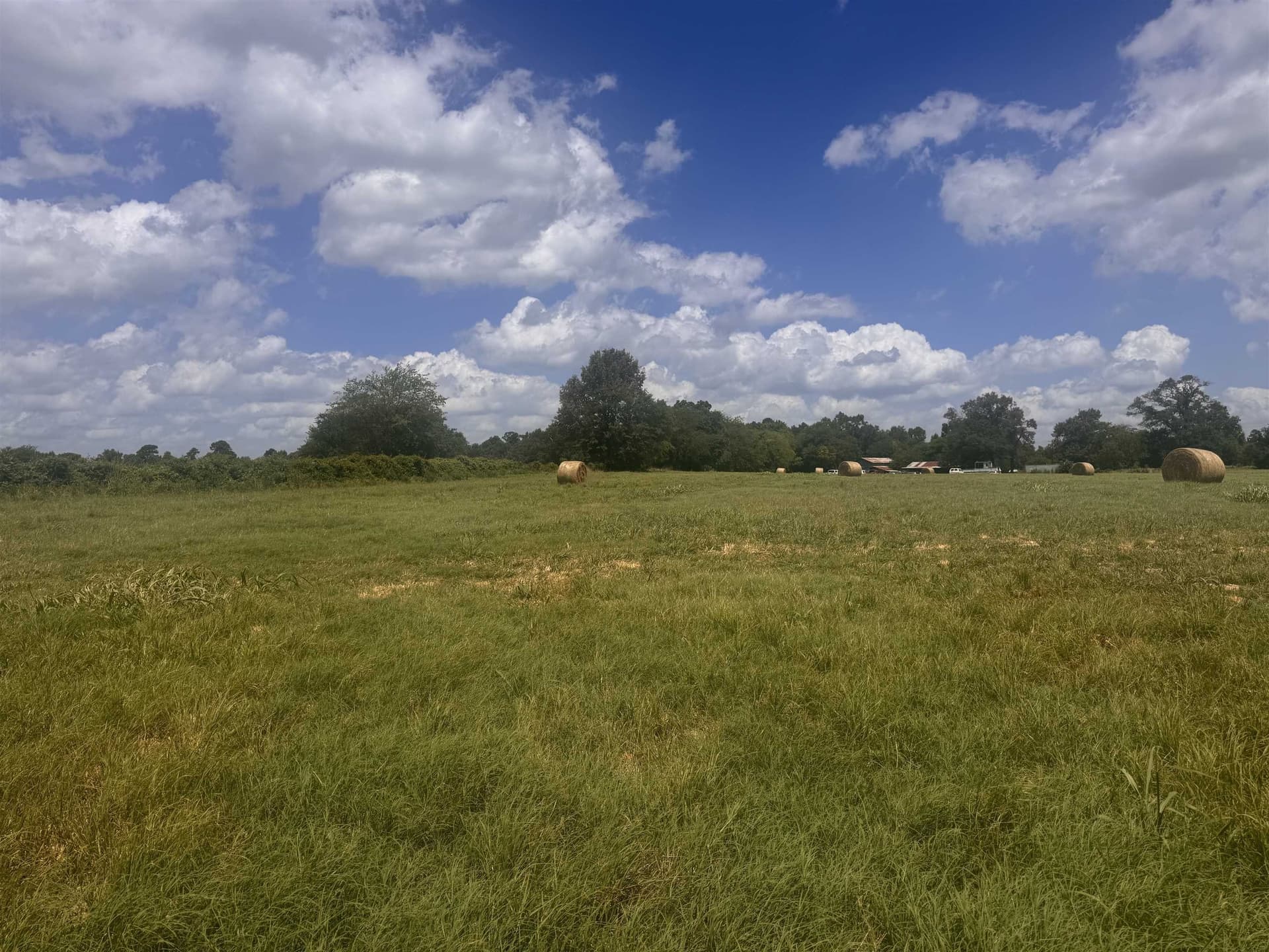 2.5 acres in Camp County gallery image 2