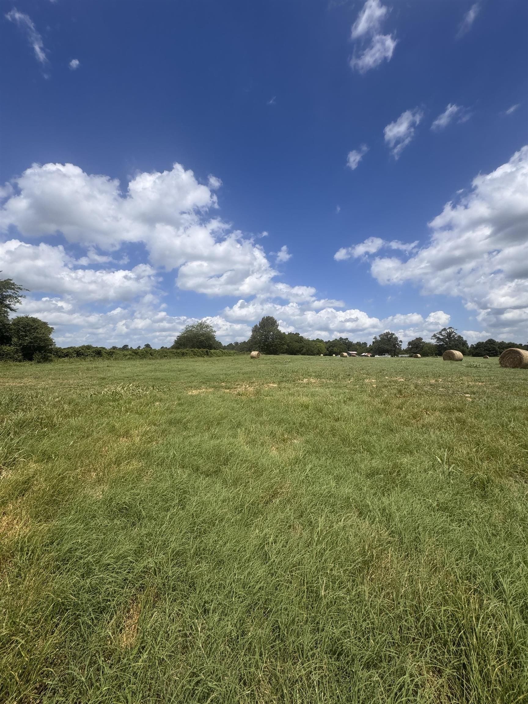 2.5 acres in Camp County gallery image 3