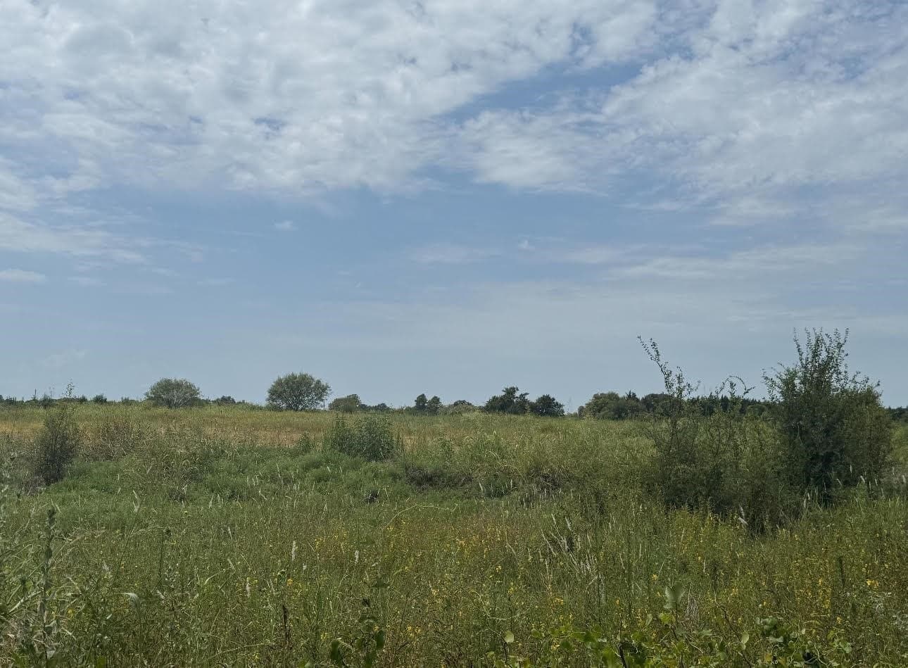 11 acres in Hill County gallery image 2
