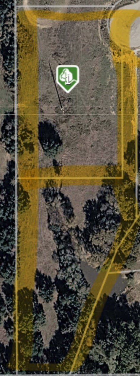 4.2 acres in Parker County - photo 12
