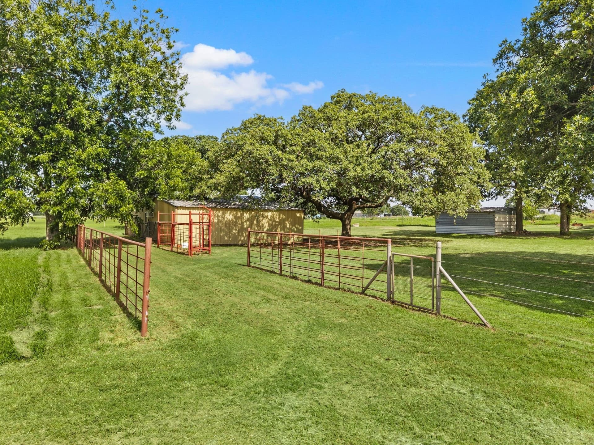 11 acres in Parker County gallery image 4