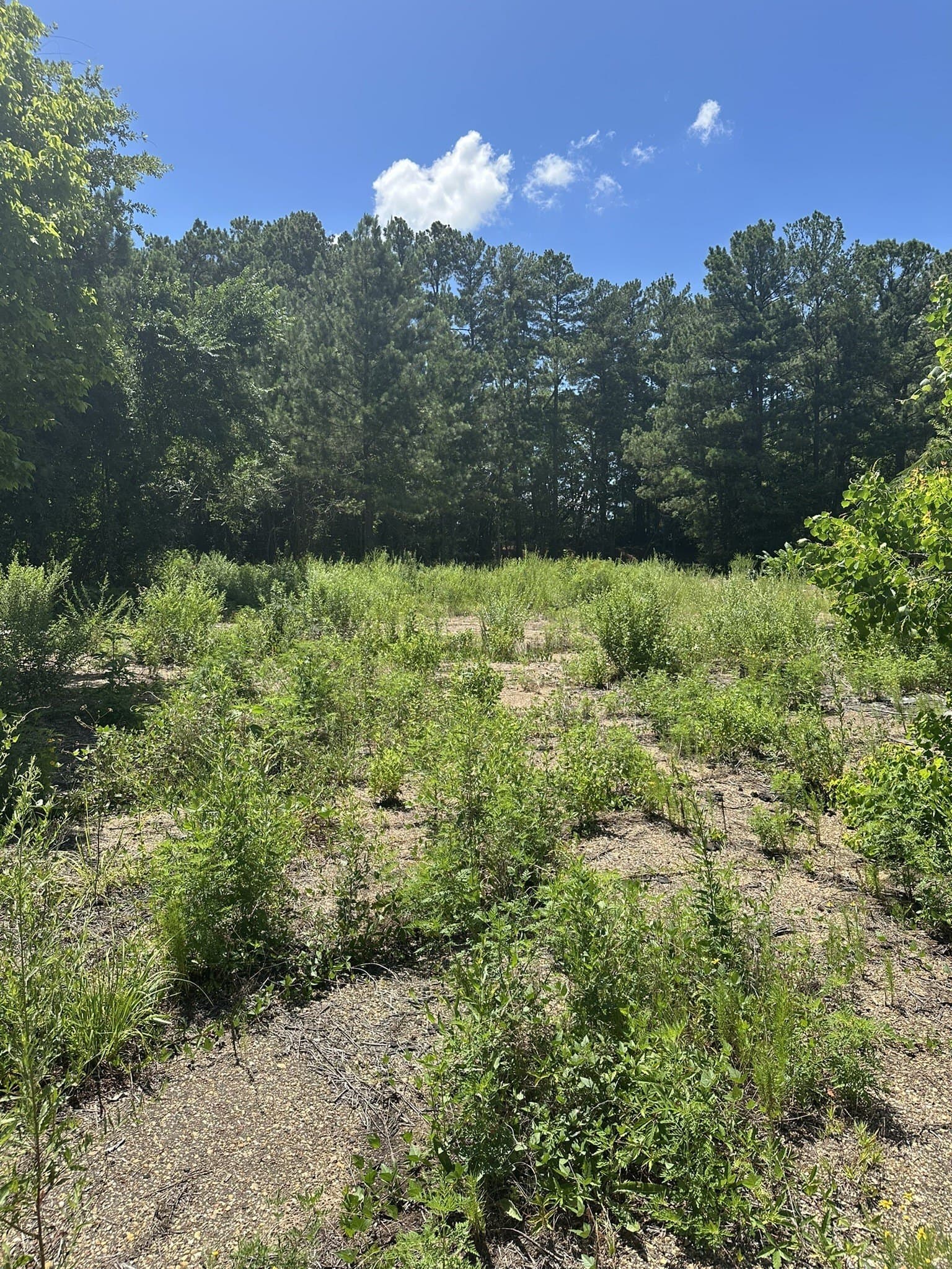 3.35 acres in Smith County - photo 18