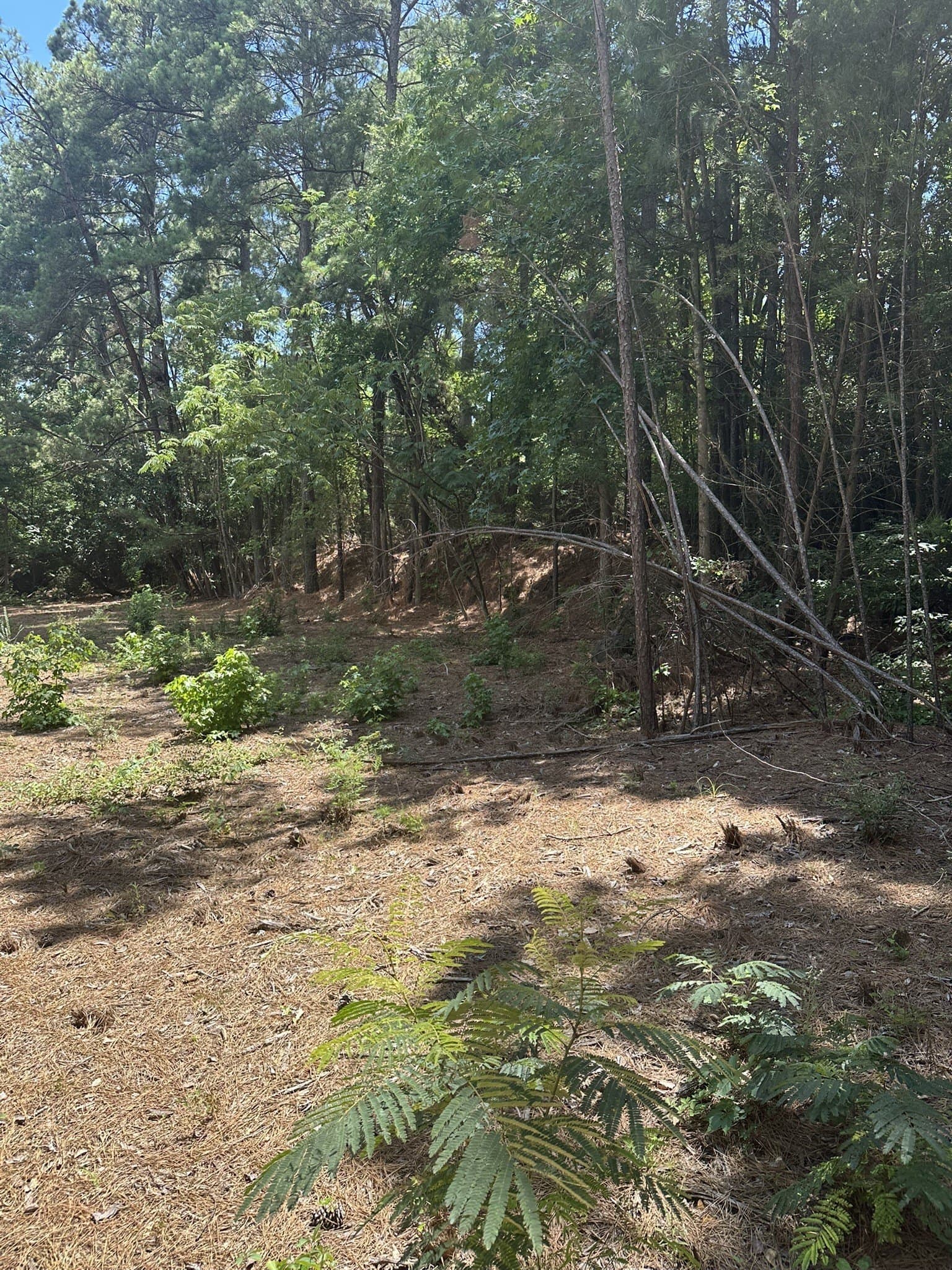 3.35 acres in Smith County - photo 13
