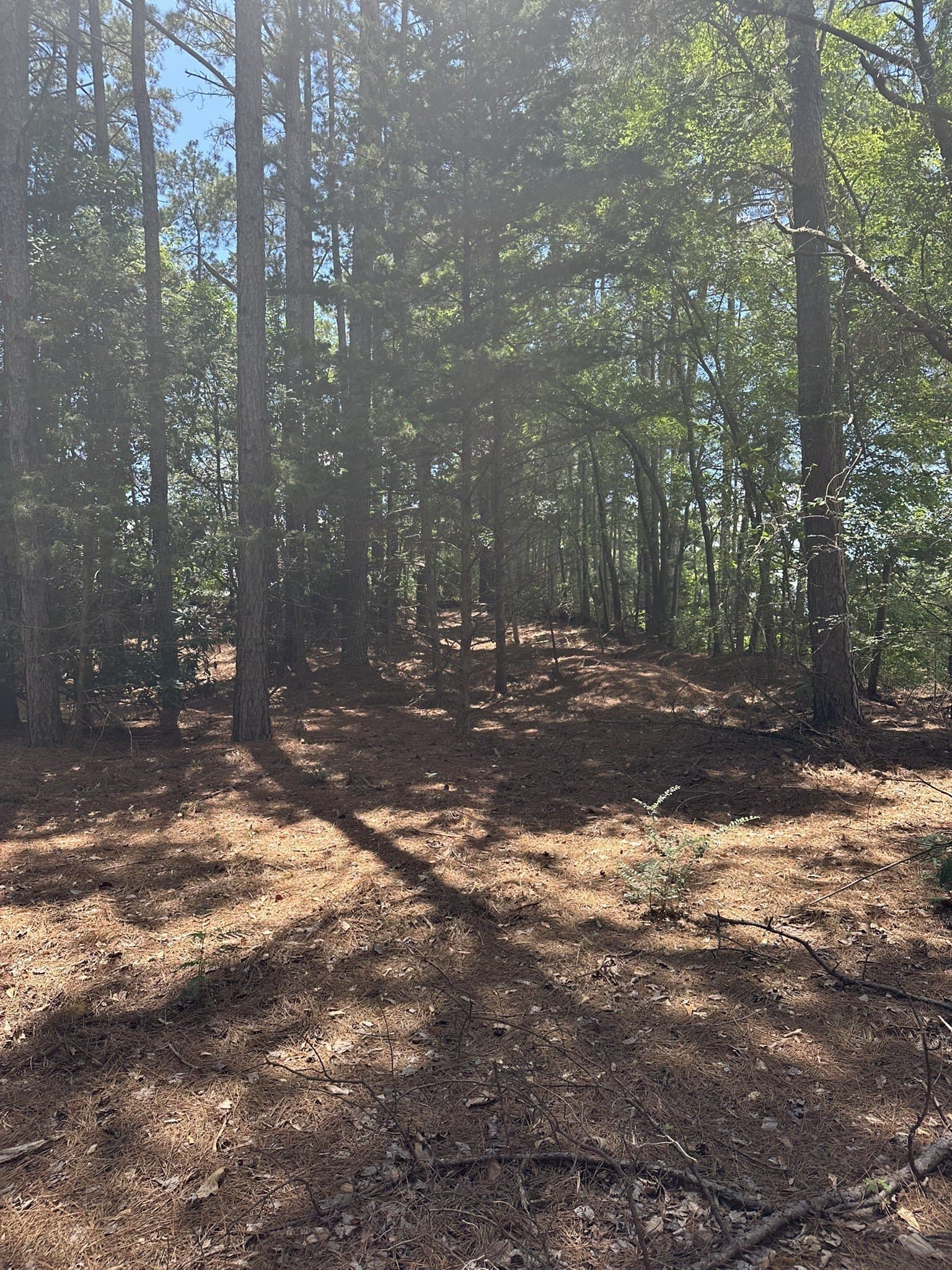 3.35 acres in Smith County - photo 8