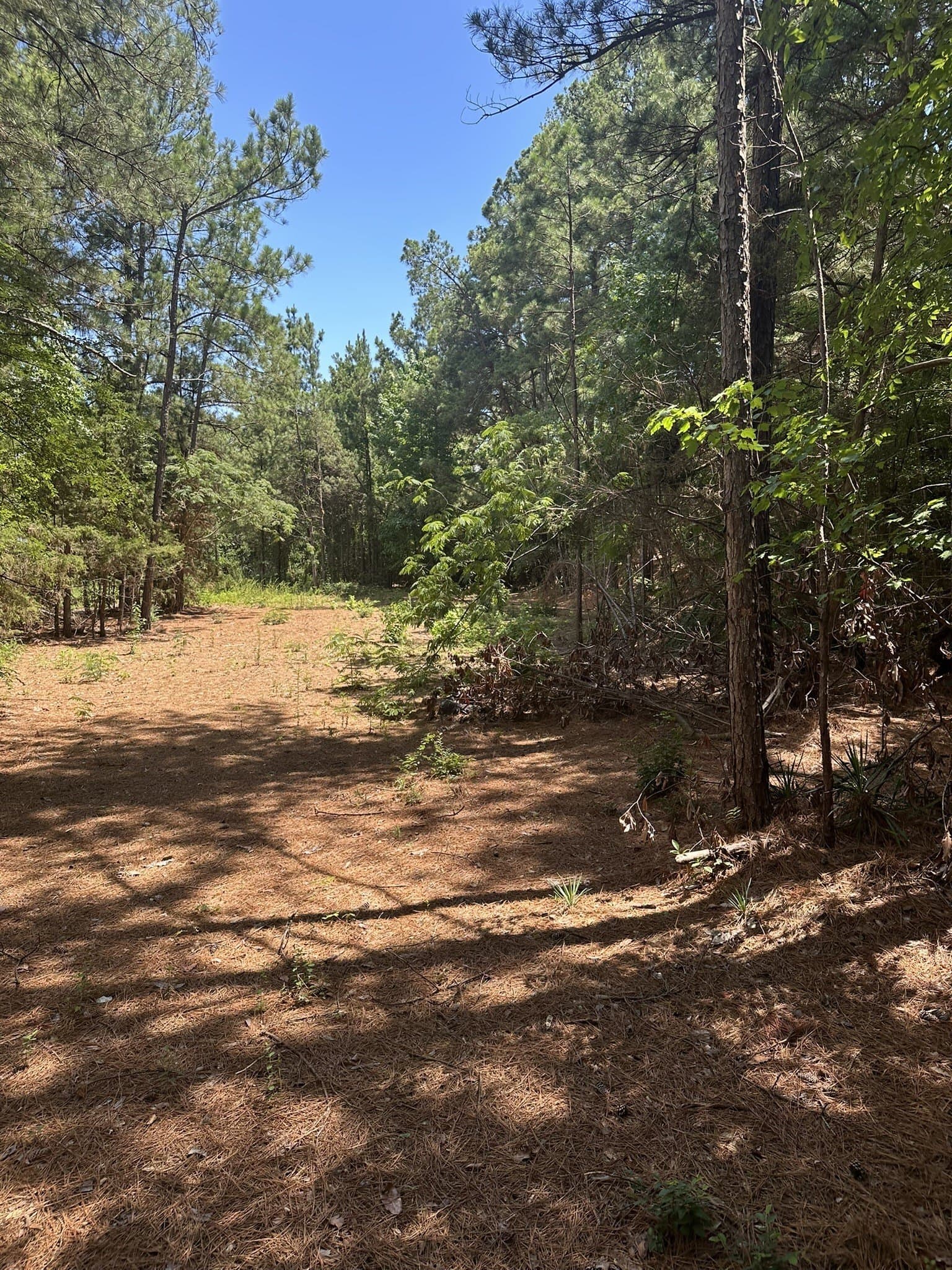 3.35 acres in Smith County - photo 10