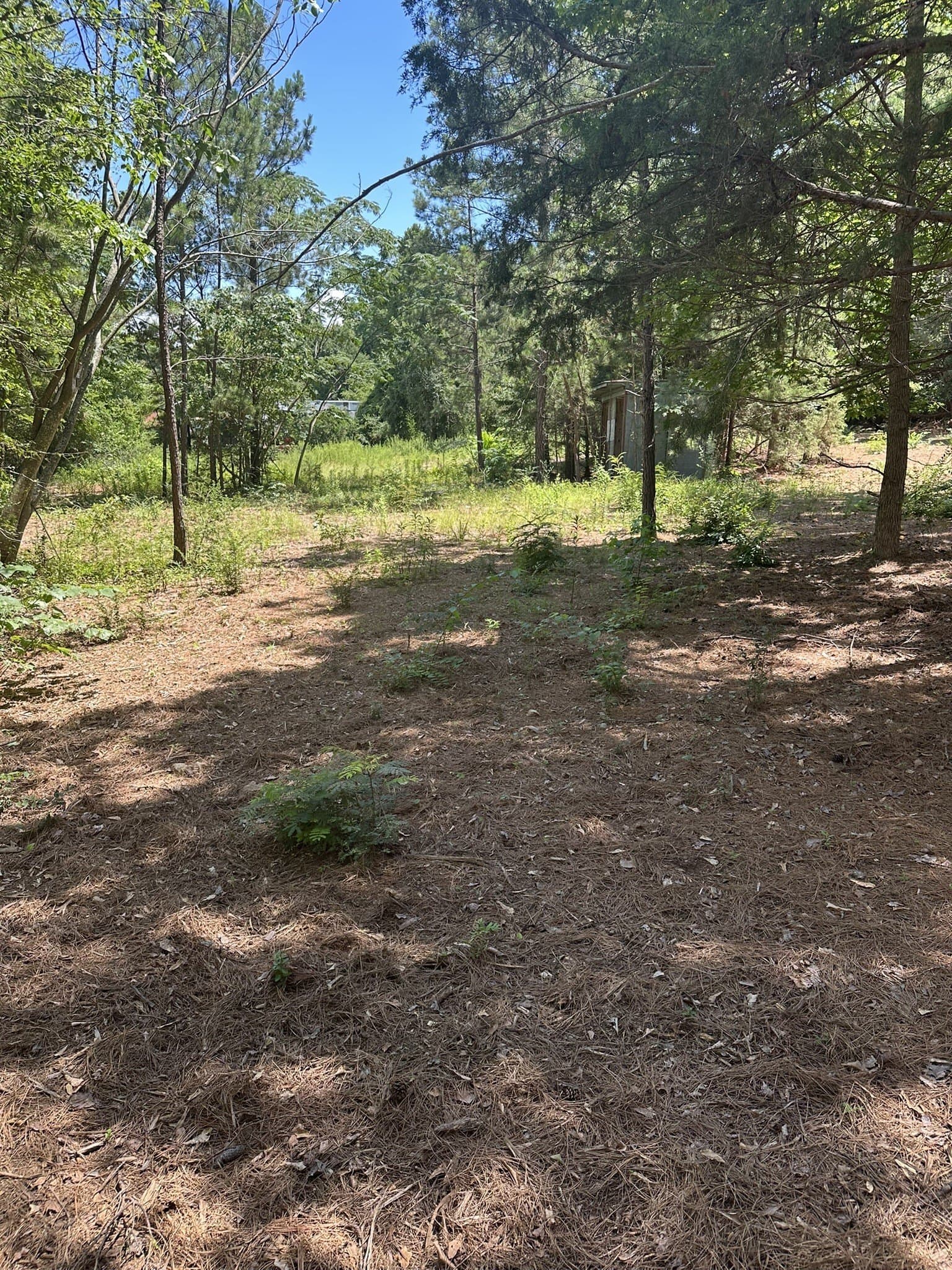 3.35 acres in Smith County - photo 7