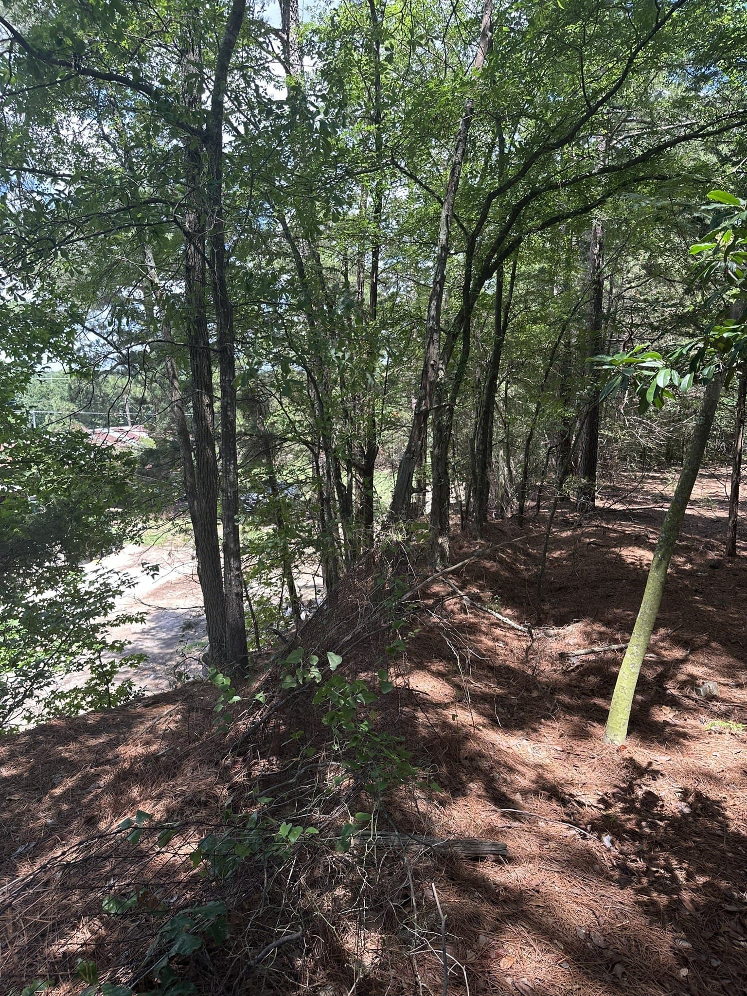 3.35 acres in Smith County - photo 12