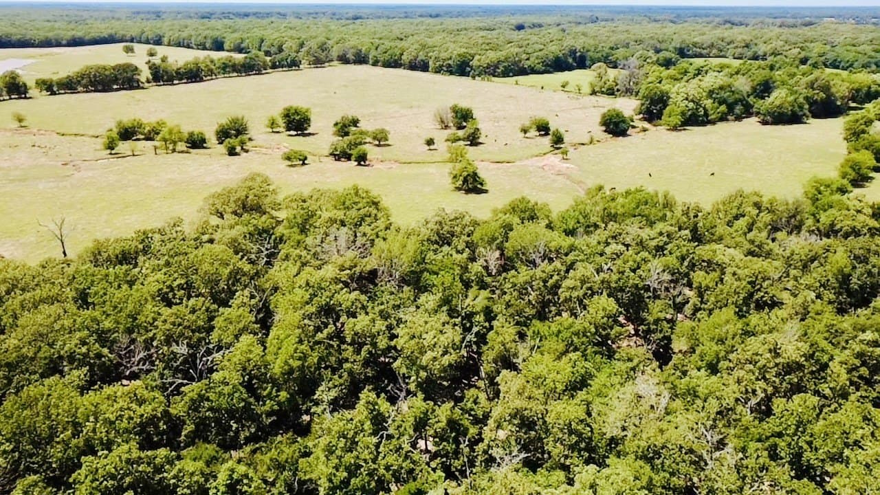 105 acres in Lamar County - photo 5