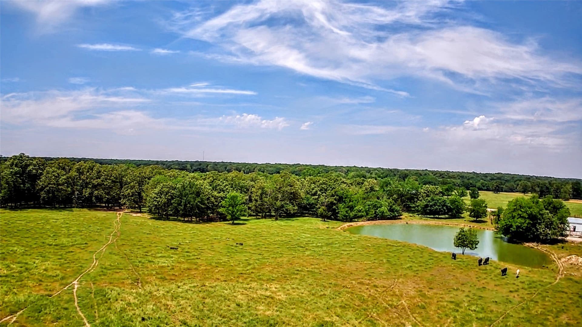 105 acres in Lamar County - photo 9