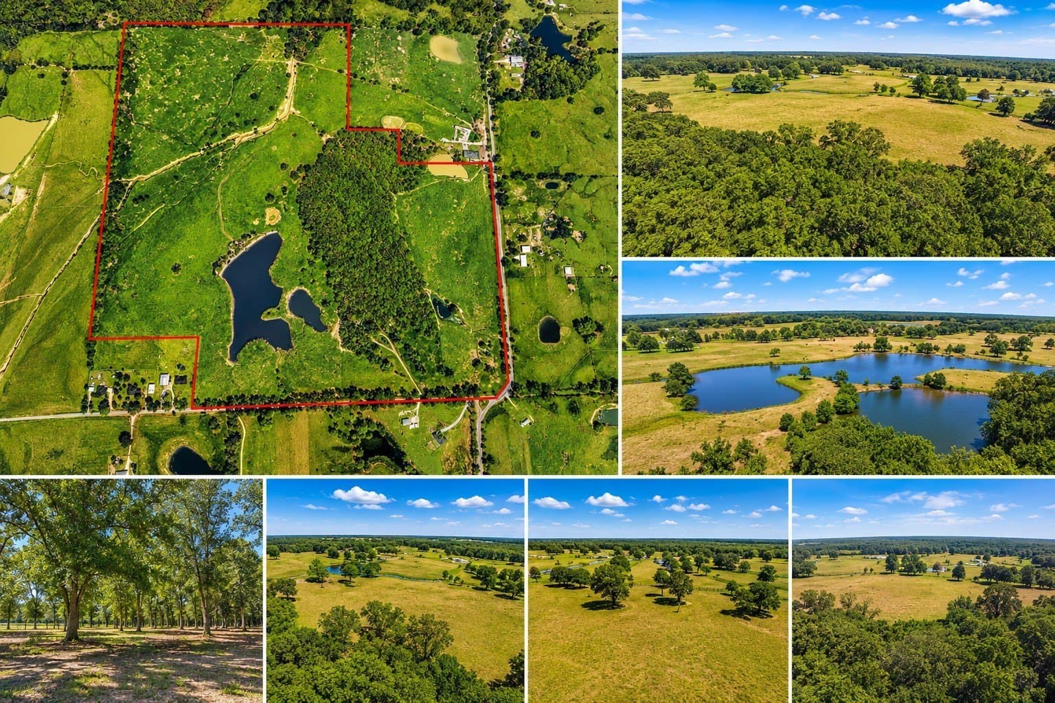 105 acres in Lamar County - photo 4
