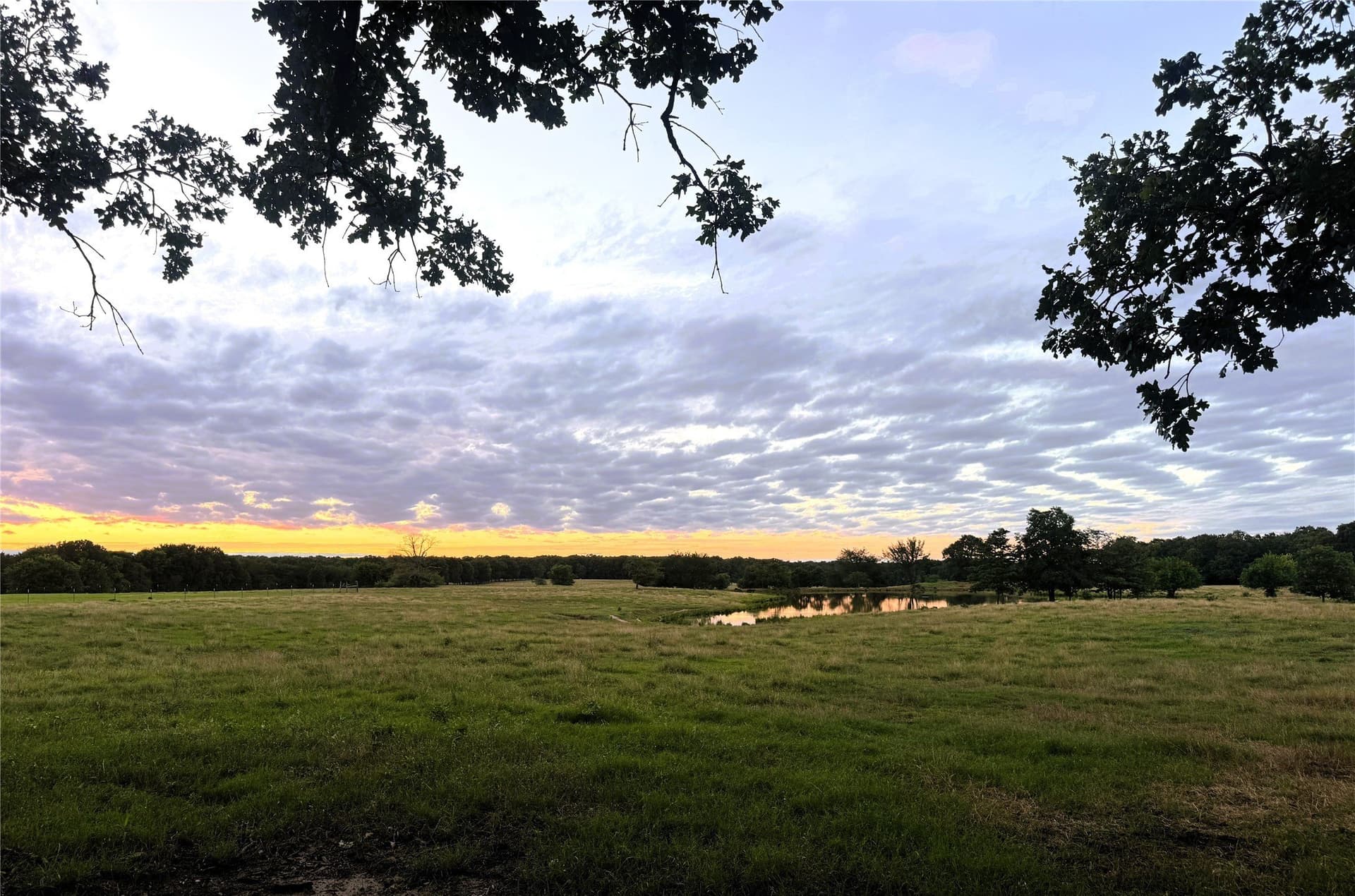 105 acres in Lamar County - photo 2