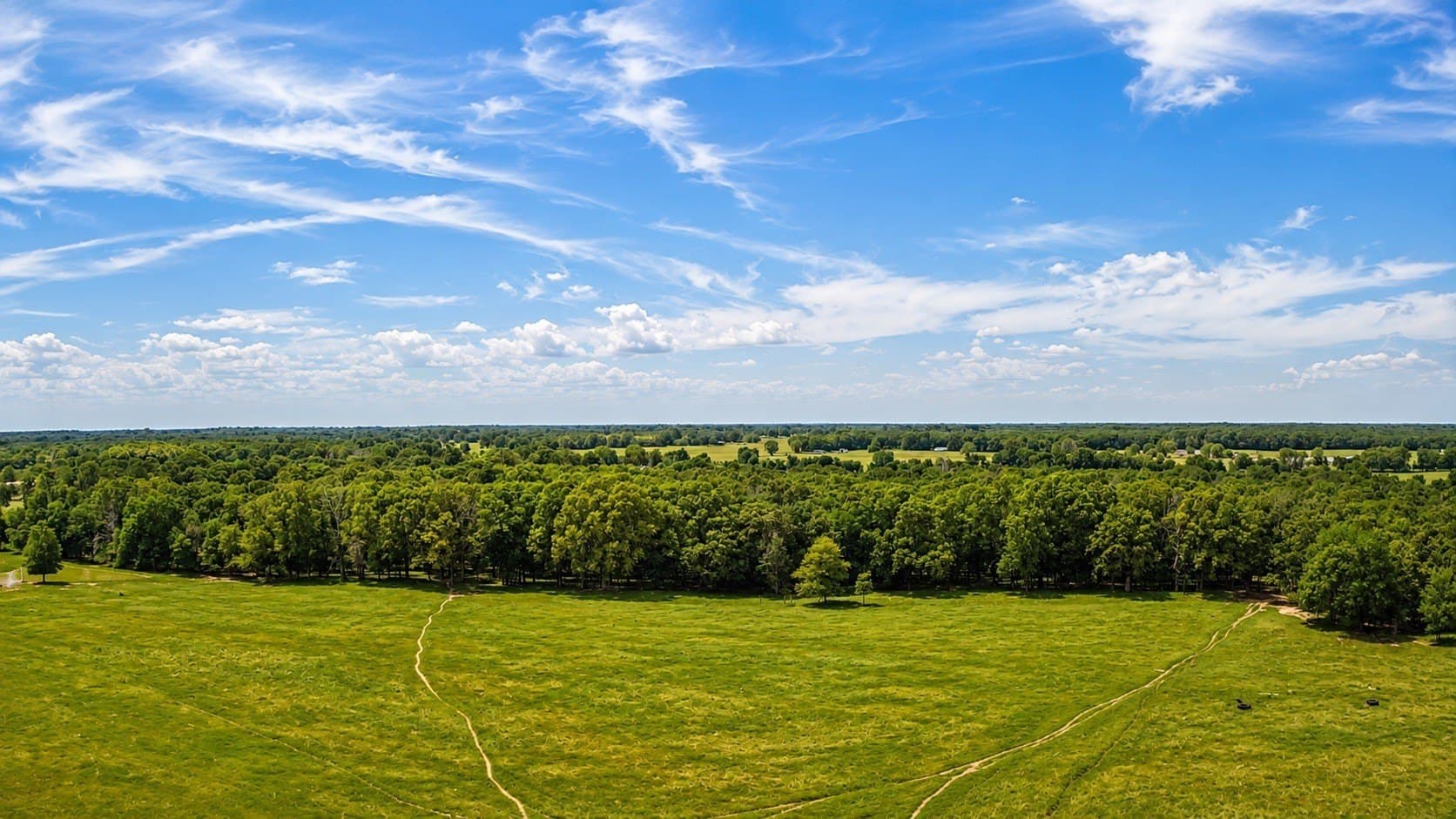 105 acres in Lamar County - photo 3