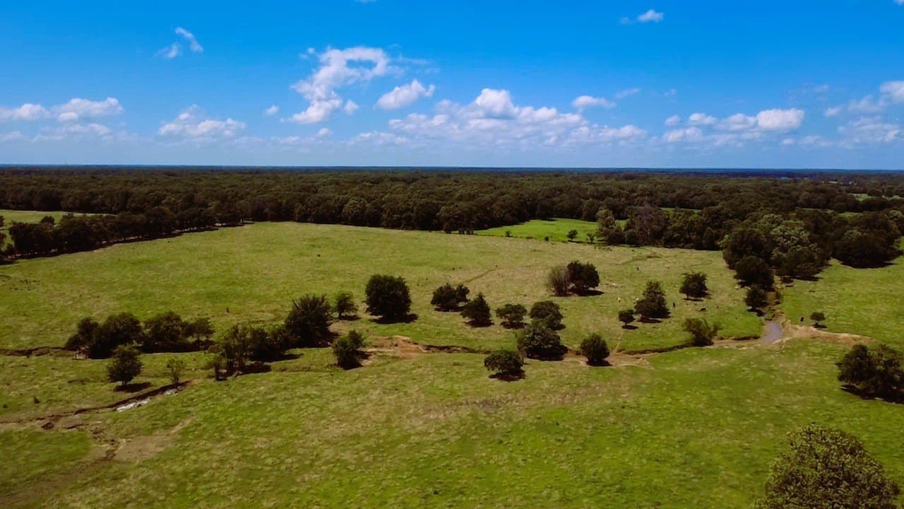 105 acres in Lamar County - photo 6