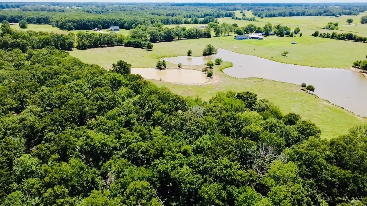 105 acres in Lamar County - photo 7