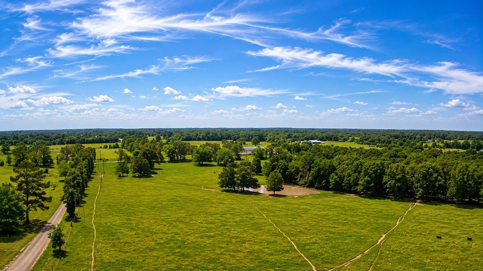 105 acres in Lamar County - photo 8