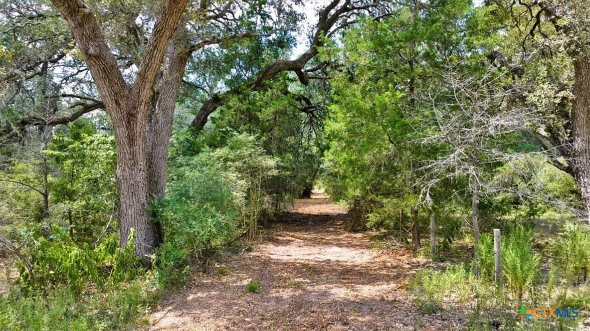 90 acres in DeWitt County - photo 11