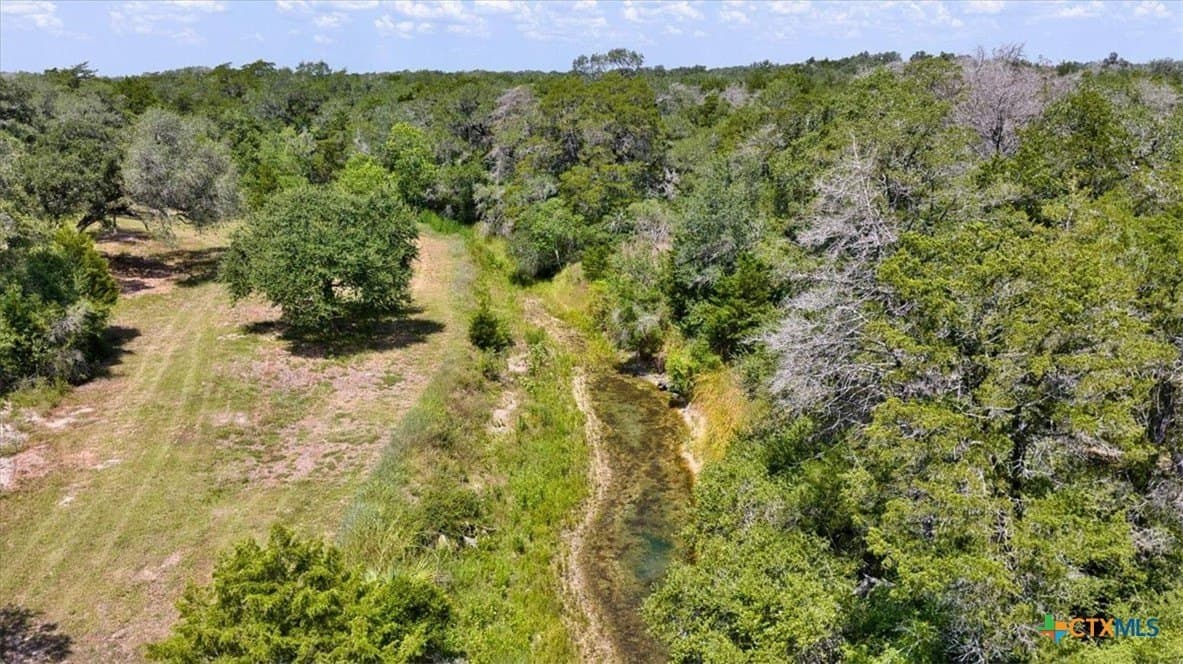 90 acres in DeWitt County - photo 8