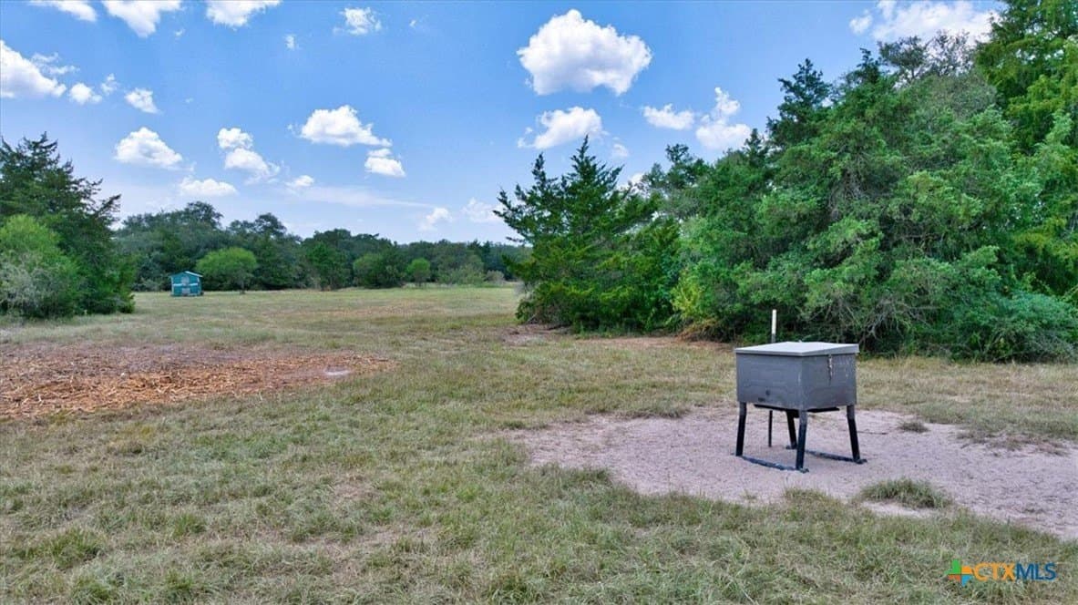 90 acres in DeWitt County - photo 12