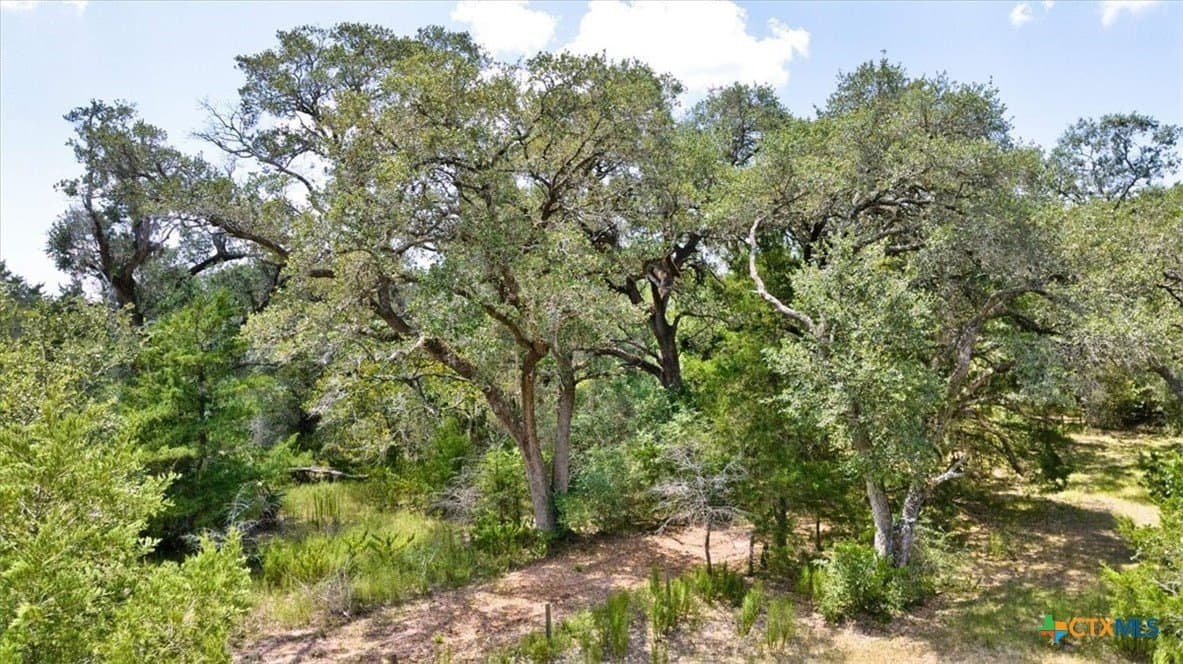 90 acres in DeWitt County - photo 10