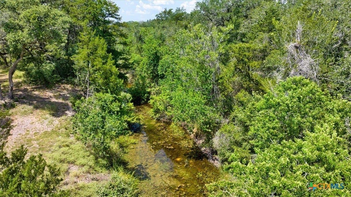 90 acres in DeWitt County - photo 9
