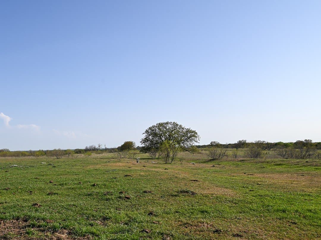 183.5 acres in Wise County - photo 20