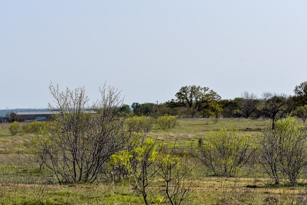 183.5 acres in Wise County - photo 27