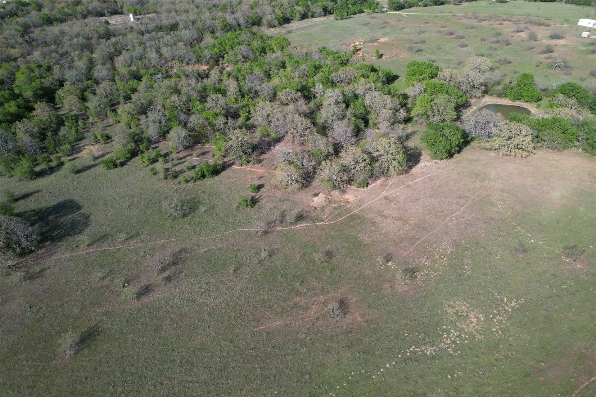 183.5 acres in Wise County - photo 17