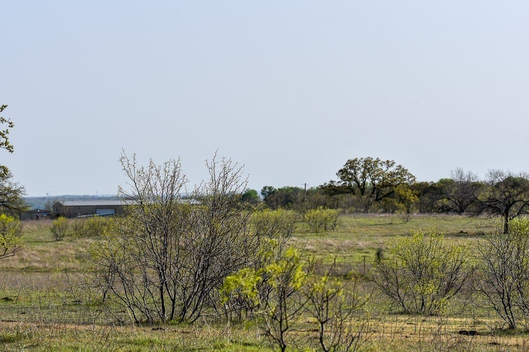 183.5 acres in Wise County - photo 26