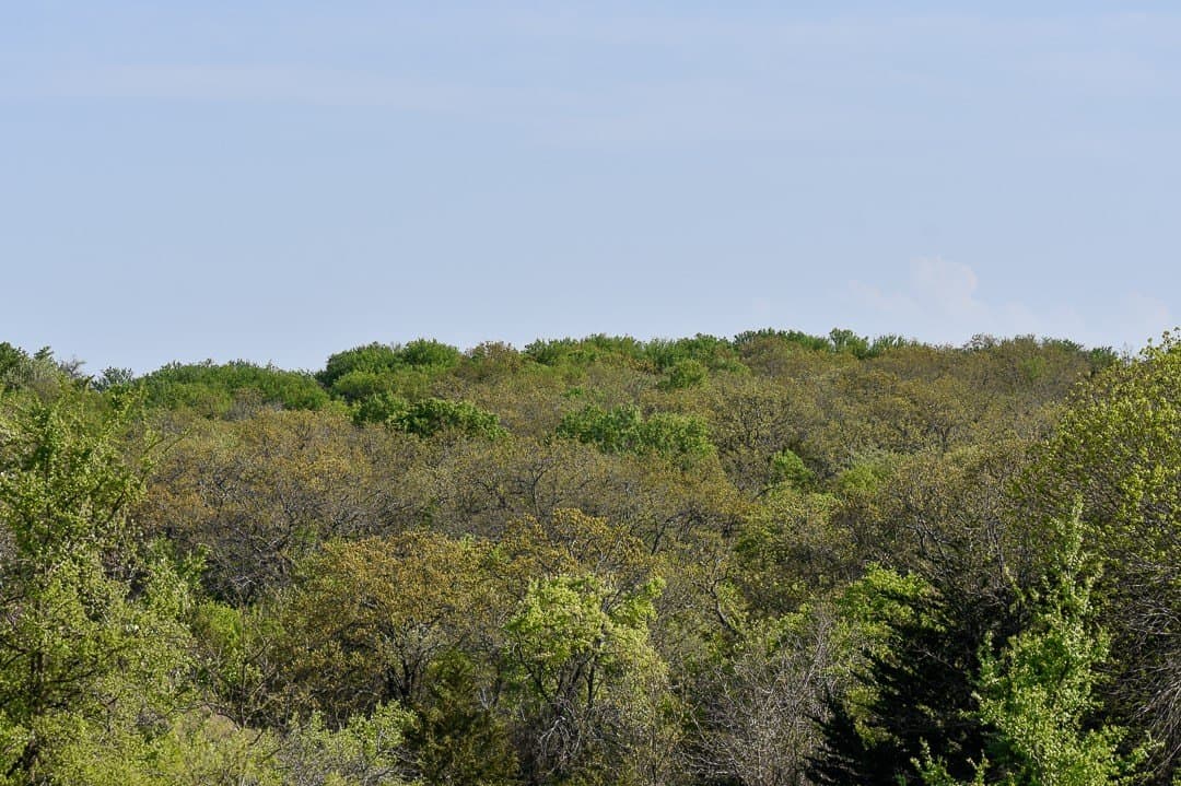 183.5 acres in Wise County - photo 23