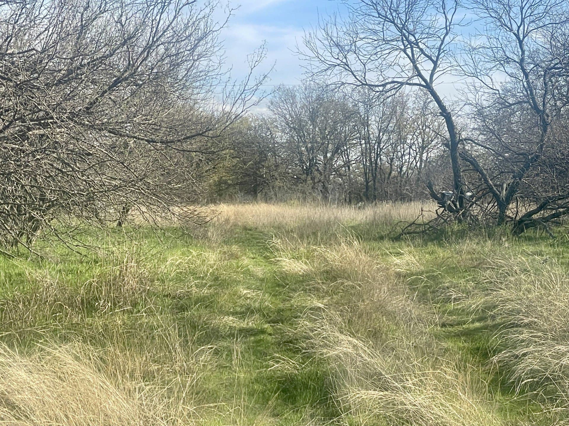 18.25 acres in Wise County featured view