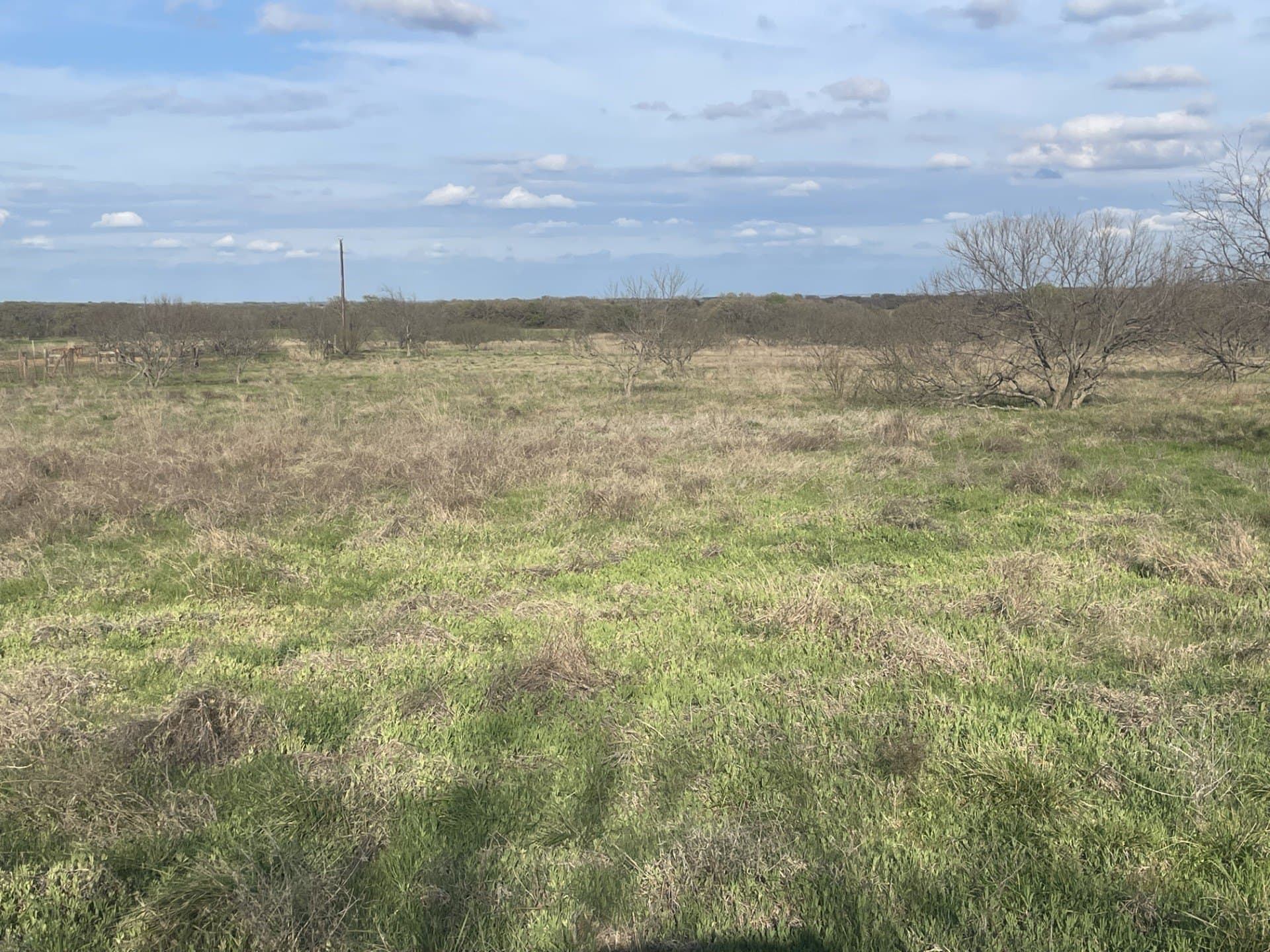 18.25 acres in Wise County gallery image 2