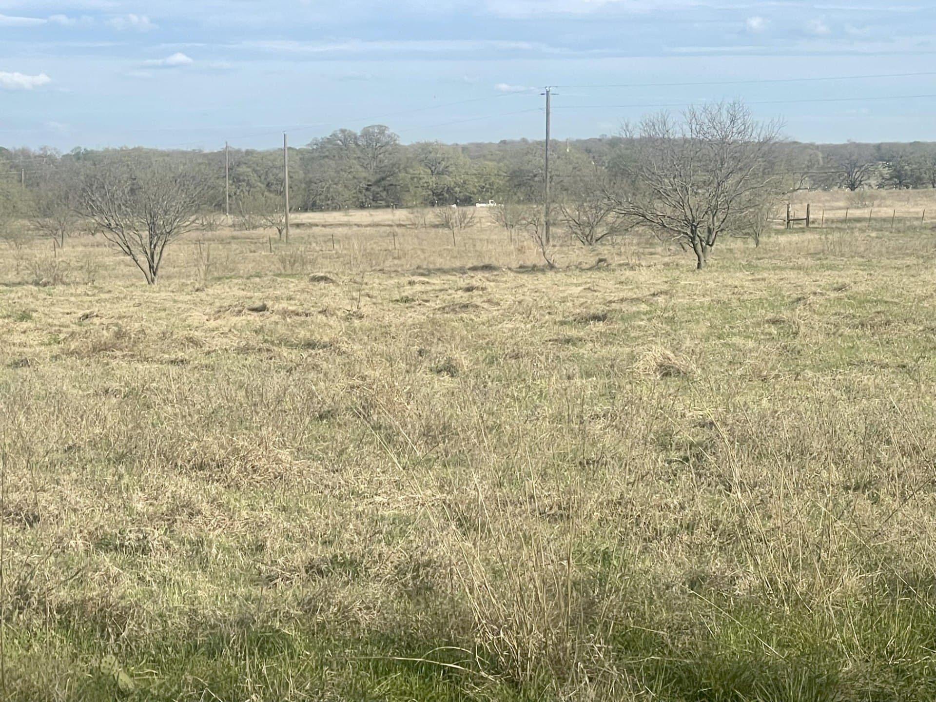 18.25 acres in Wise County gallery image 4